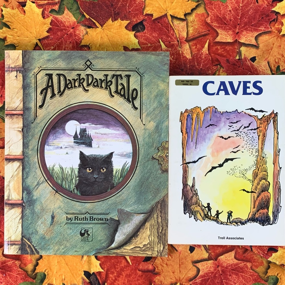 A Dark Dark Tale and Caves Book Set.